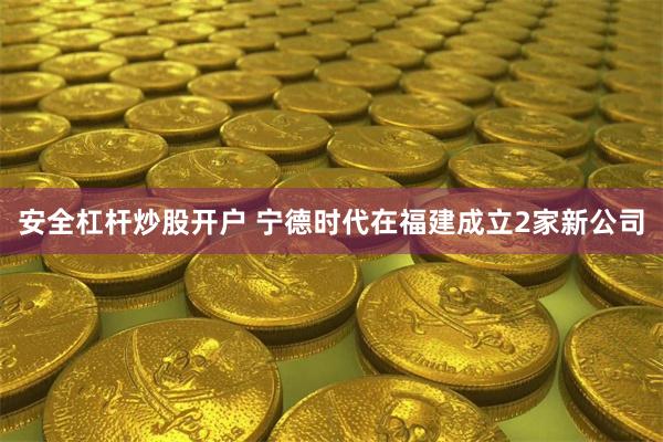 安全杠杆炒股开户 宁德时代在福建成立2家新公司