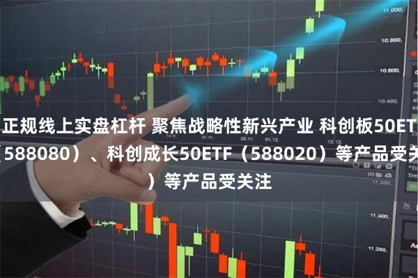 正规线上实盘杠杆 聚焦战略性新兴产业 科创板50ETF（588080）、科创成长50ETF（588020）等产品受关注