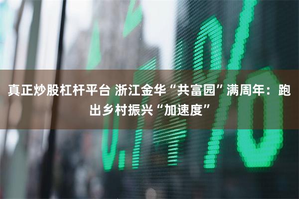 真正炒股杠杆平台 浙江金华“共富园”满周年：跑出乡村振兴“加速度”