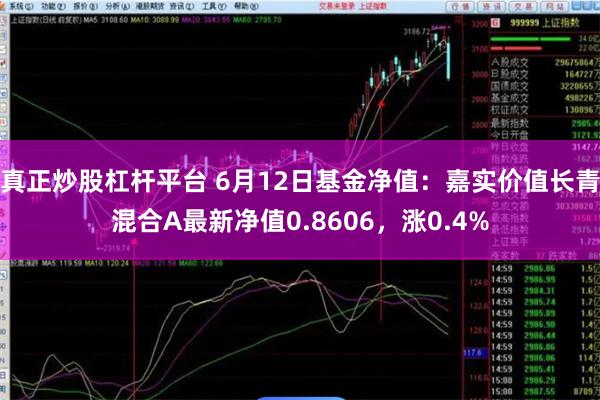 真正炒股杠杆平台 6月12日基金净值：嘉实价值长青混合A最新净值0.8606，涨0.4%
