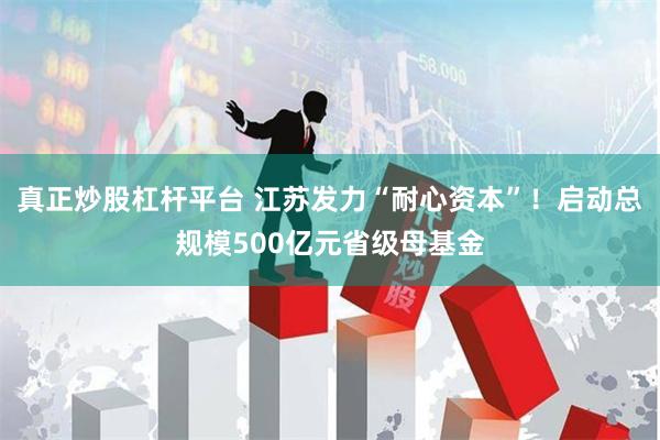 真正炒股杠杆平台 江苏发力“耐心资本”！启动总规模500亿元省级母基金