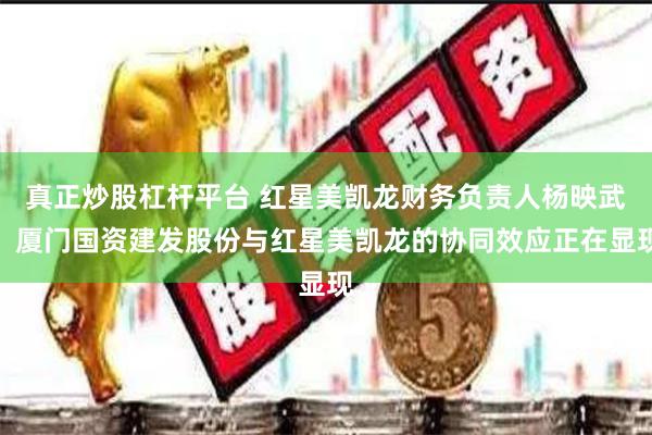 真正炒股杠杆平台 红星美凯龙财务负责人杨映武：厦门国资建发股份与红星美凯龙的协同效应正在显现