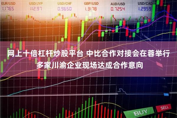 网上十倍杠杆炒股平台 中比合作对接会在蓉举行 多家川渝企业现场达成合作意向