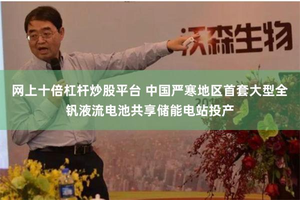 网上十倍杠杆炒股平台 中国严寒地区首套大型全钒液流电池共享储能电站投产